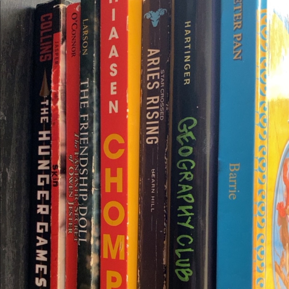 Fiction books